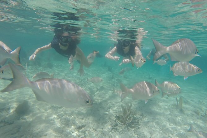 Tour in Buggy Cedral History Snorkeling and Lunch in Cozumel - Price and value: what you are really paying for