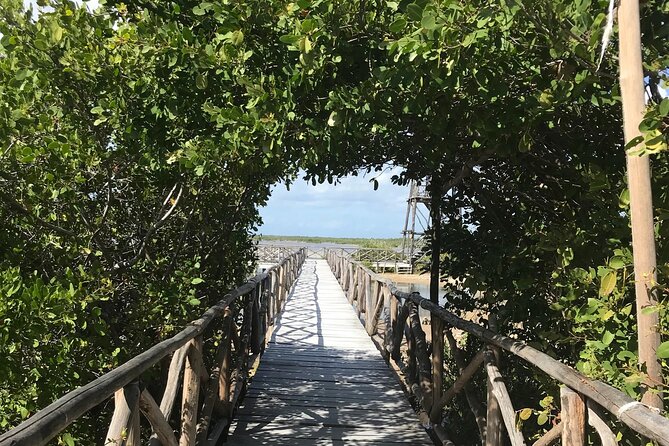 Tour to Cozumel Eco Nature Escape and Otoch Mayan Experience - VIRGIN BEACH: private sand, snorkeling gear, and what you should do with your time