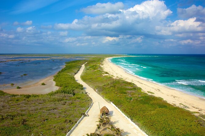 Tours along the beaches of Cozumel Mexico by buggy all inclusive - Key highlights on this Cozumel buggy beach route
