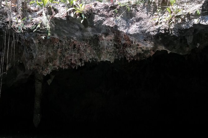 Tours On The Island Cozumel - Price and value: what $95 really covers, and what it does not