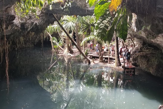 Tours On The Island Cozumel - The tequila tasting: quick samples with options for different tastes
