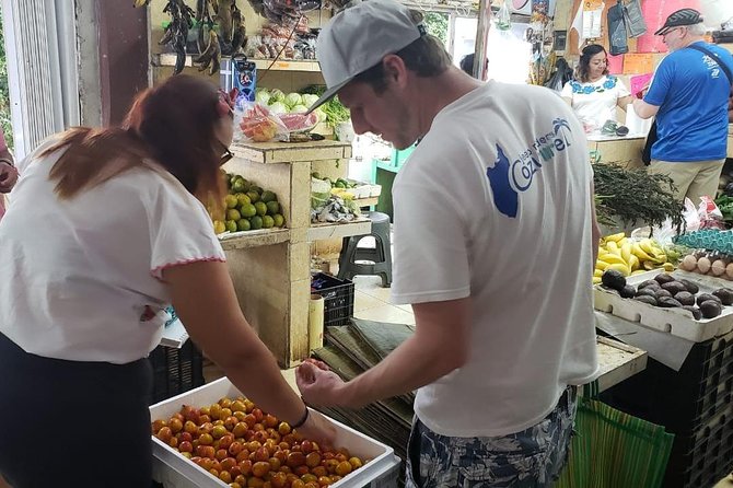 Traditional Family Kitchen in Cozumel - The meal you build: guacamole, salsas, nopales, and tortillas