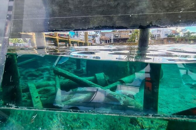 Transparent Boating and Snorkeling Tour in Cozumel All Inclusive - Weather Reality Check: Clear Water Depends on Conditions