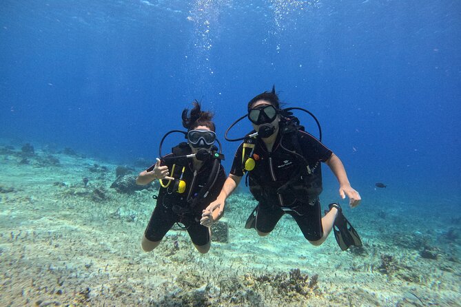 Try diving without previous experience from shore - First-Time Scuba From Shore: What the 3-Hour Session Really Delivers