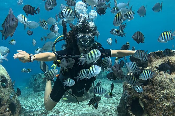 Try diving without previous experience from shore - How to Plan Around the Meeting Point and the Time Windows