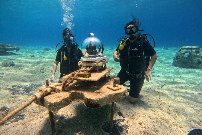 Try diving without previous experience from shore - Price and Value: Is $136.77 Worth It?