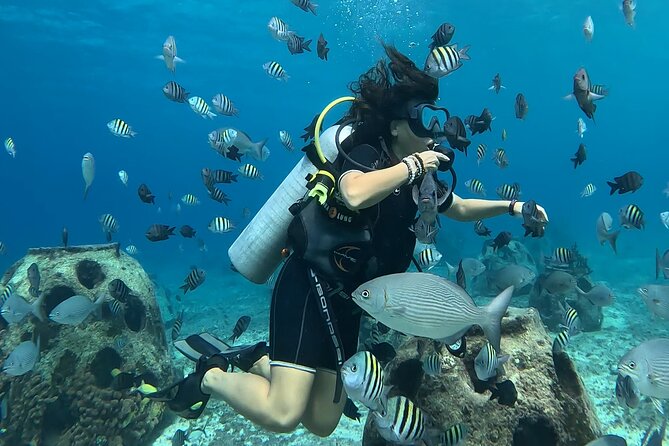 Try diving without previous experience from shore - Cousteau Underwater Museum: A Beginner-Friendly Reason to Pay Attention