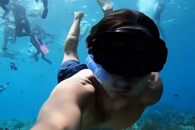 VIP Private Glass Bottom Boat and Snorkeling, 3 Reefs in Cozumel - Should You Book This VIP Private Glass Bottom Boat Tour?