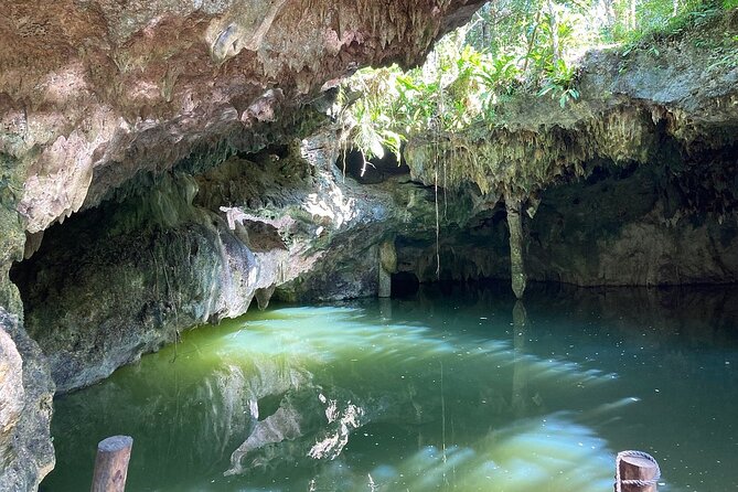 Wild Jade Cavern ATV Tour With Transfer - Quick hits from this Wild Jade Cavern route