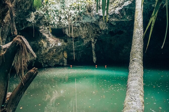 Wild Jade Cavern ATV Tour With Transfer - Meeting points in Cozumel, grace time, and how not to lose your spot